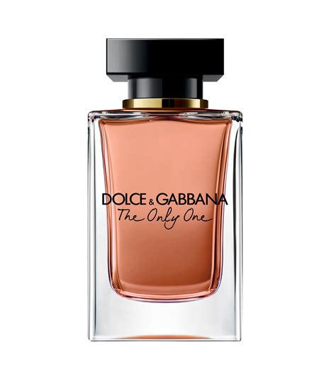 dolce & gabbana perfume mujer|dolce and clemente's online store.